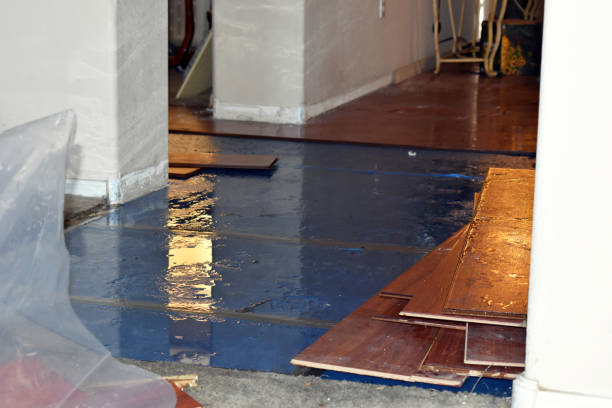 Professional Burst Pipe Cleanup technician working in Shoreham, NY